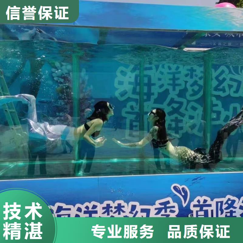 【海洋主题动物表演 【出租海狮表演】实力强有保证】