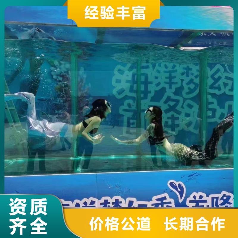 海洋主题动物表演-海狮表演出租多年行业经验