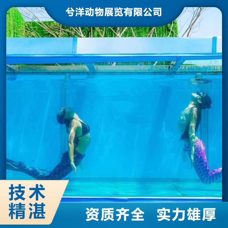 海洋主题动物表演出租表演羊驼口碑商家