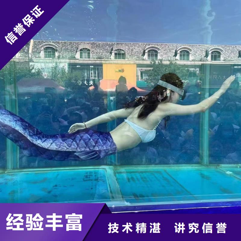 【海洋主题动物表演,鹦鹉表演专业公司】