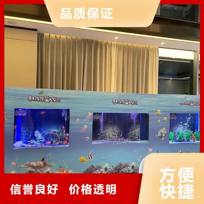 海洋主题动物表演,羊驼表演从业经验丰富