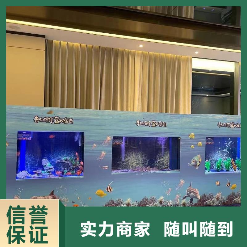 海洋主题动物表演,海狮演出经验丰富