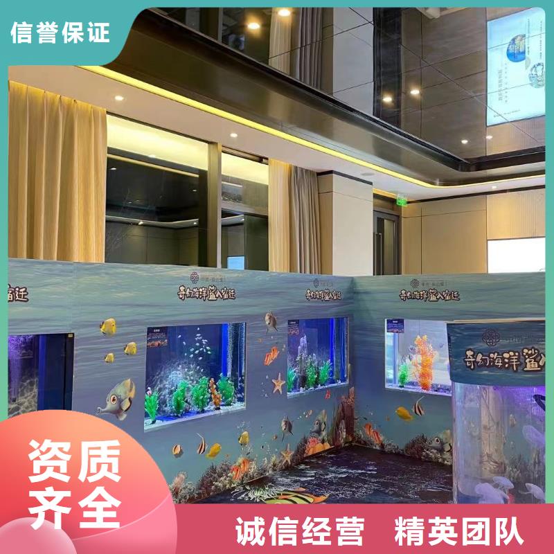 海洋主题动物表演【企鹅表演】讲究信誉