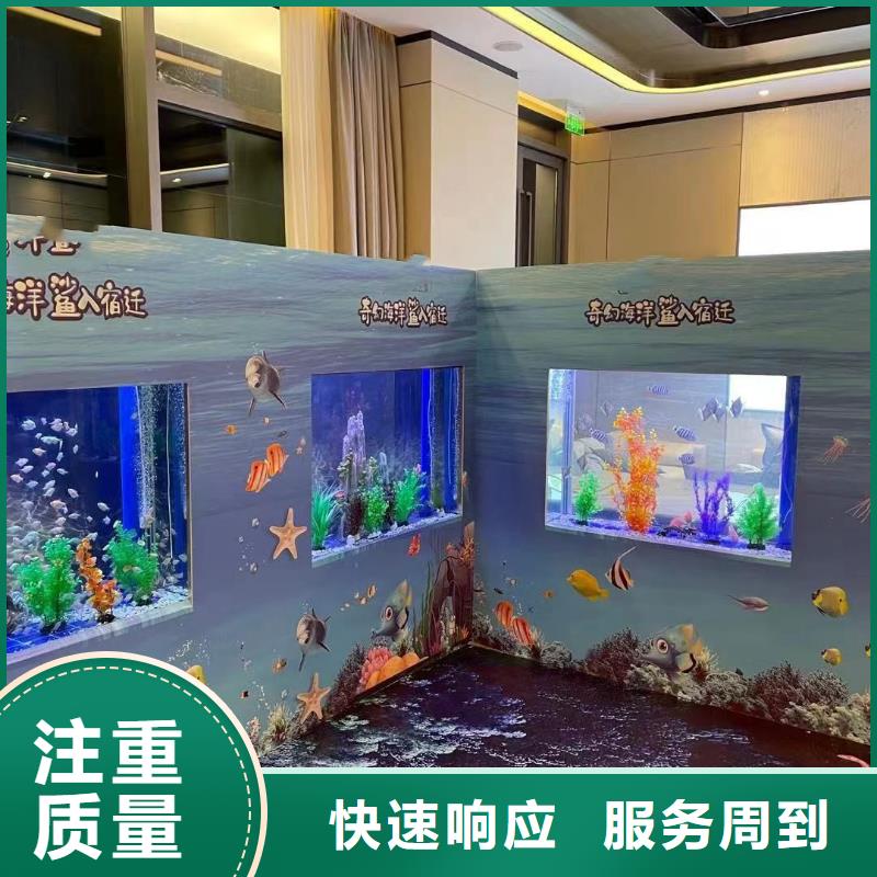 海洋主题动物表演小马戏出租服务至上