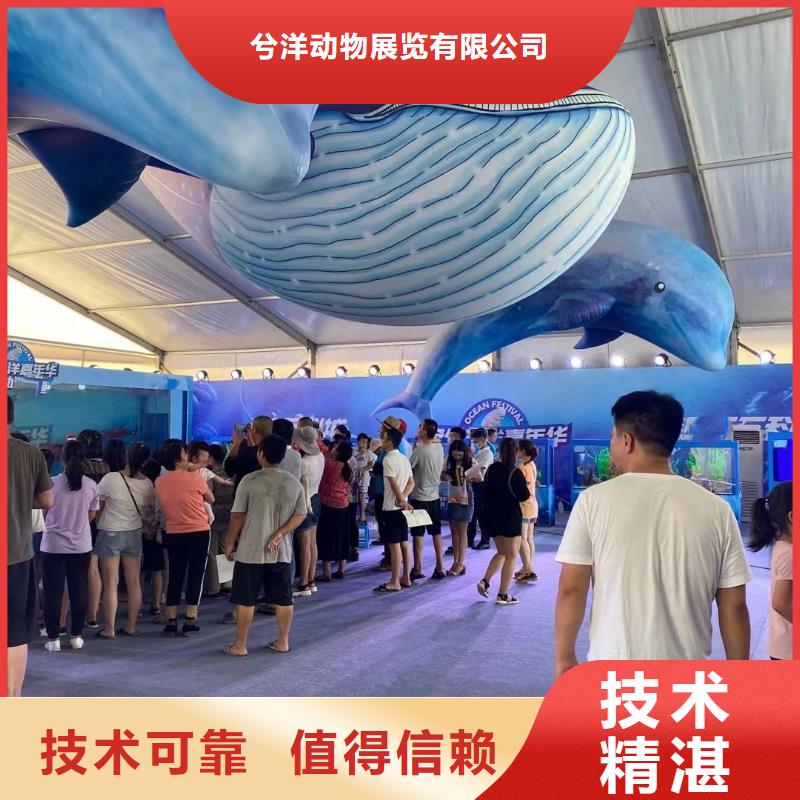 海洋主题动物表演马戏团表演出租高性价比