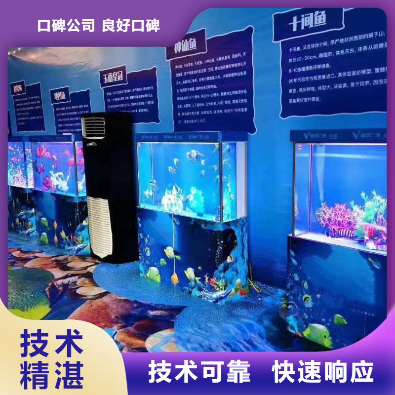 海洋主题动物表演,企鹅出租专业