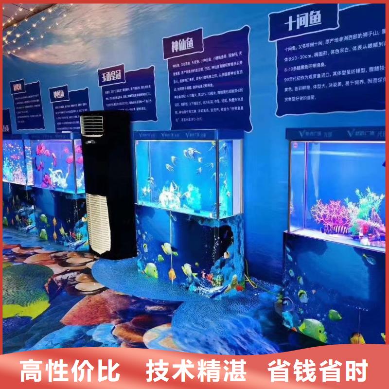 海洋主题动物表演企鹅出租遵守合同