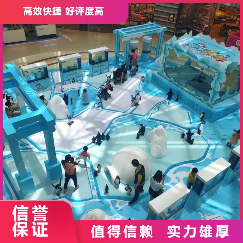 【海洋主题动物表演 海狮表演出租随叫随到】