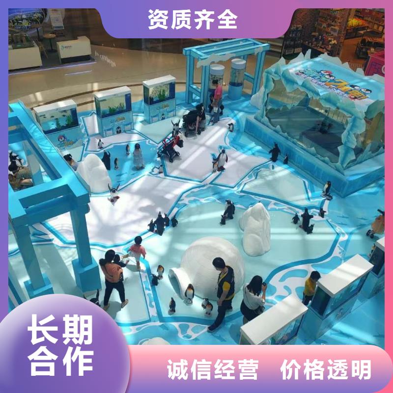 海洋主题动物表演,马戏团表演实力团队