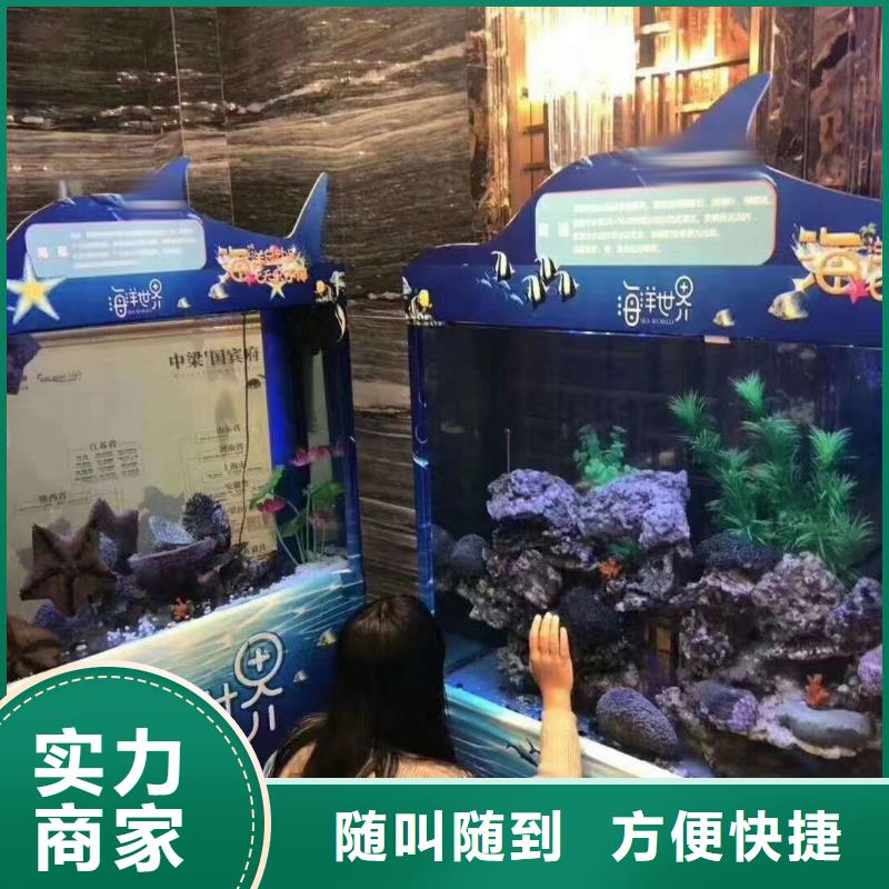 海洋主题动物表演企鹅租赁技术成熟