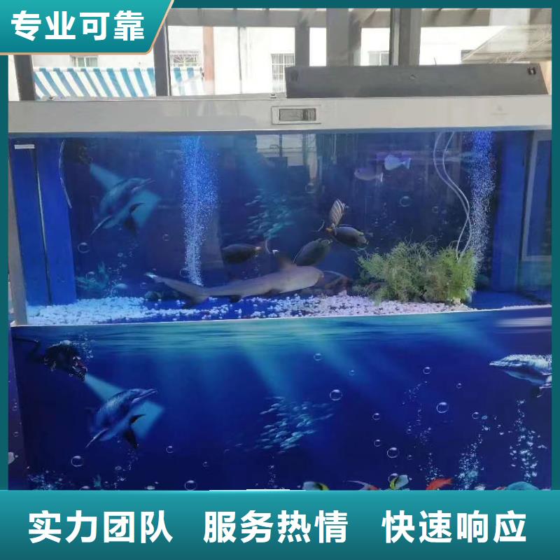 海洋主题动物表演_海狮表演出租资质齐全