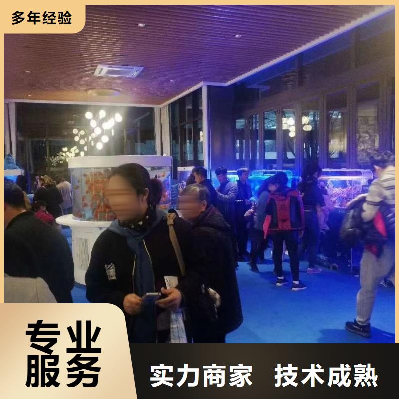 海洋主题动物表演,羊驼表演从业经验丰富
