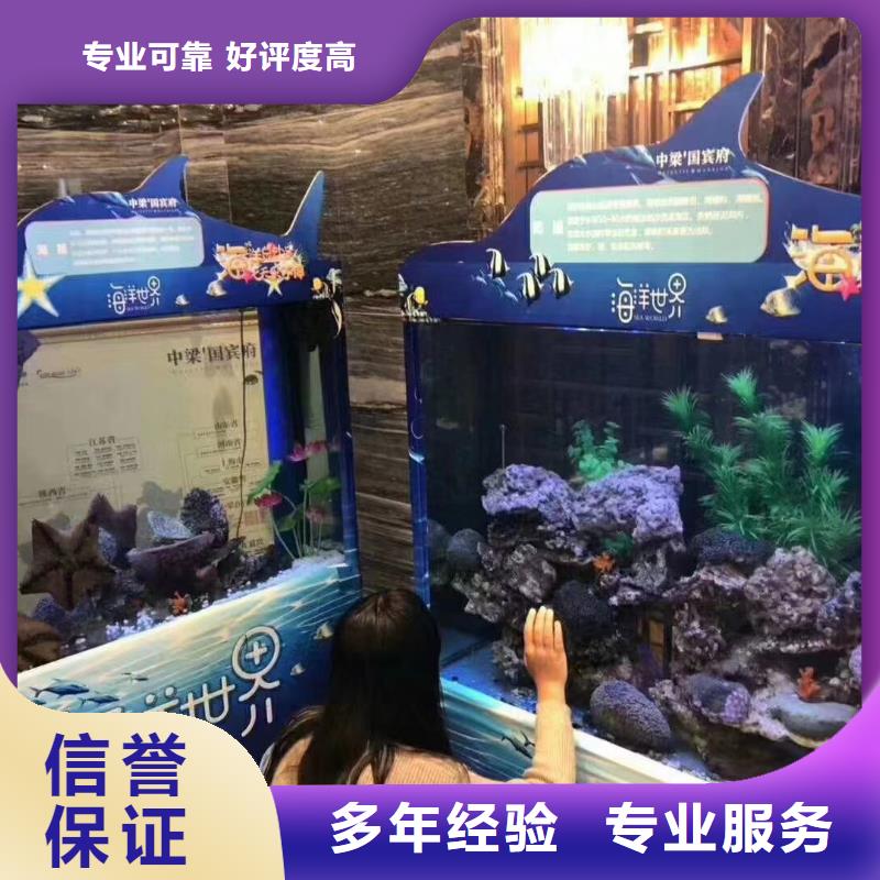 海洋主题动物表演【海狮表演出租】价格美丽