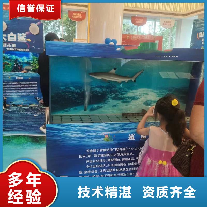海洋主题动物表演【海狮表演出租】正规团队