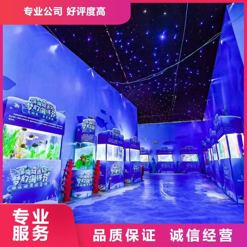 【海洋主题动物表演_马戏表演诚信】