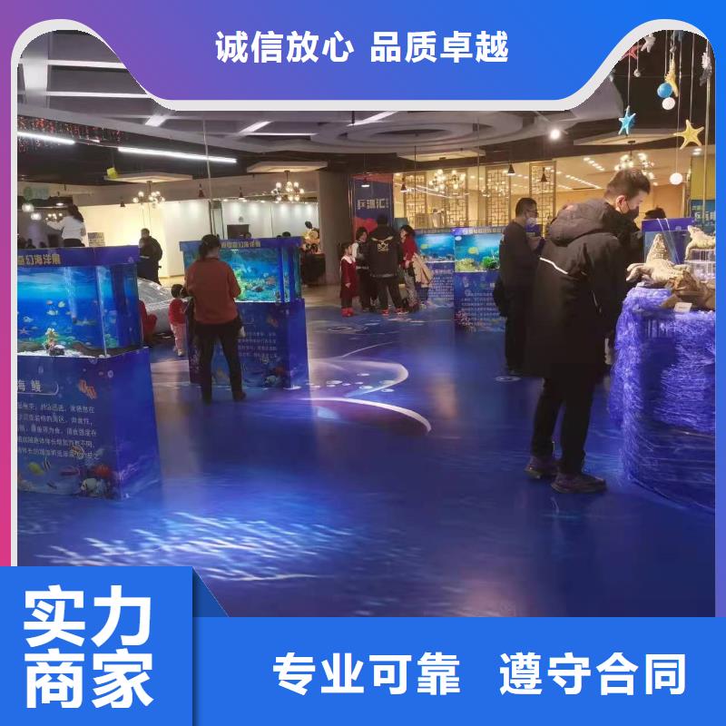 海洋主题动物表演,海狮表演出租专业团队