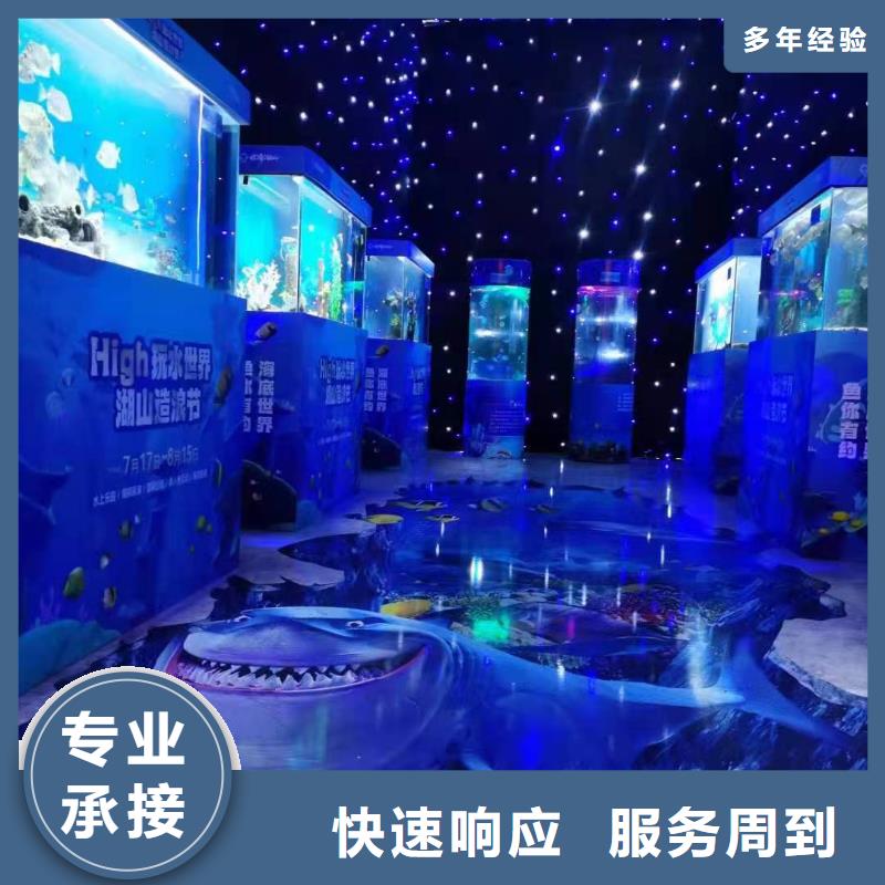 海洋主题动物表演海狮表演出租长期合作