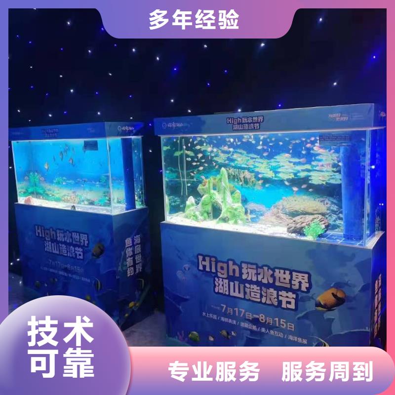 海洋主题动物表演出租羊驼承接
