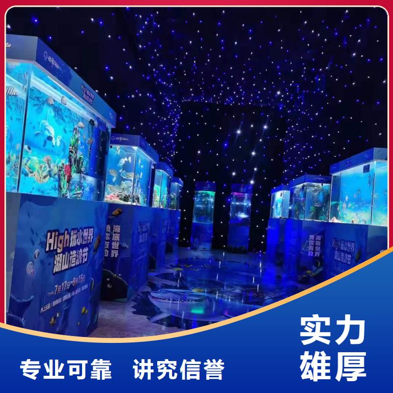 海洋主题动物表演【海狮表演租赁】品质服务