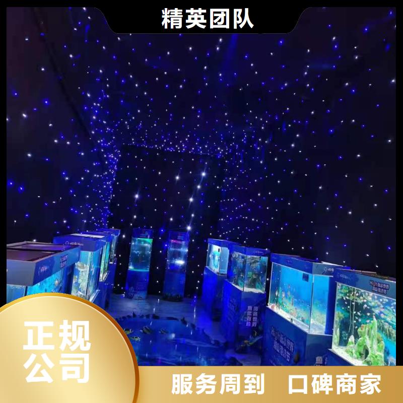 海洋主题动物表演马戏团表演出租租赁正规