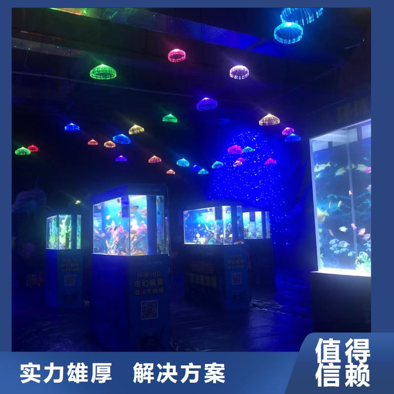 海洋主题动物表演,鹦鹉表演诚实守信