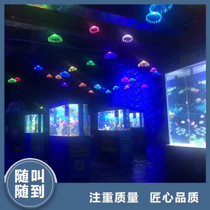 海洋主题动物表演表演动物出租比同行便宜