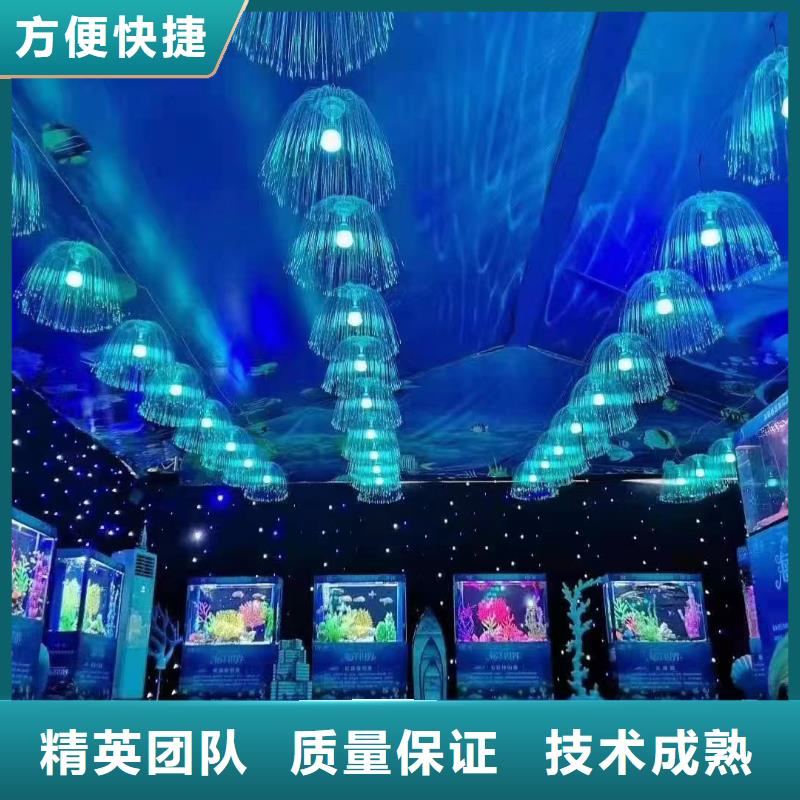 海洋主题动物表演_企鹅租赁从业经验丰富