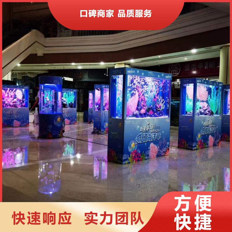 海洋主题动物表演海狮表演出租注重质量