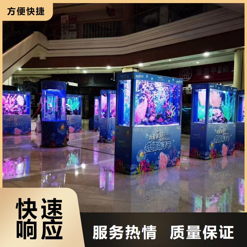 海洋主题动物表演海狮表演出租长期合作