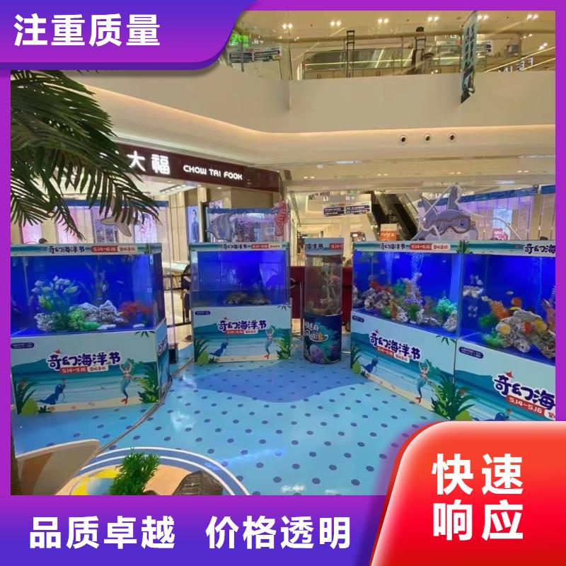 【海洋主题动物表演,鹦鹉表演专业公司】