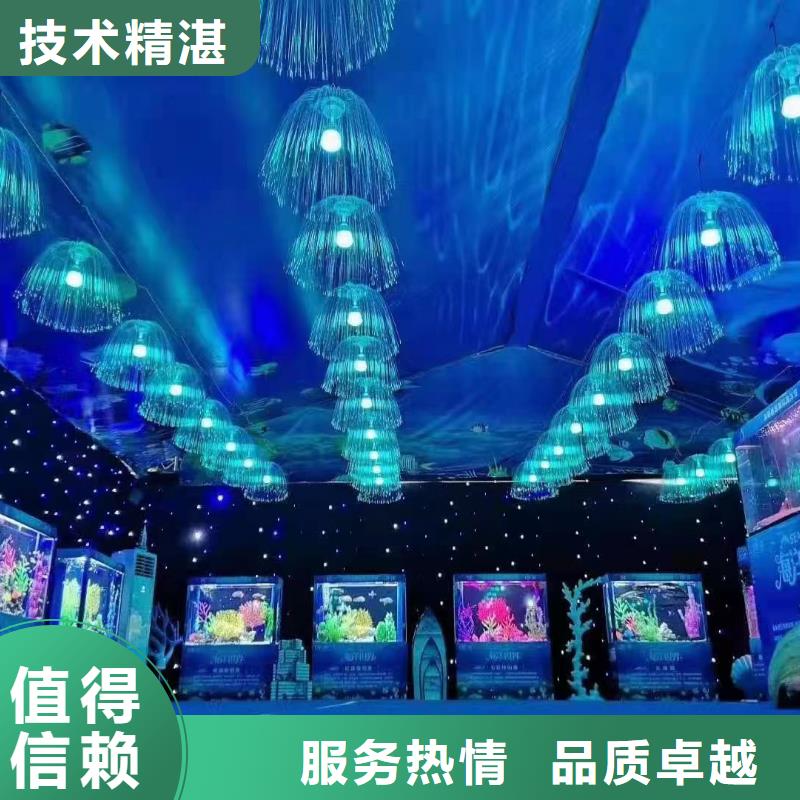 海洋主题动物表演海狮表演出租注重质量