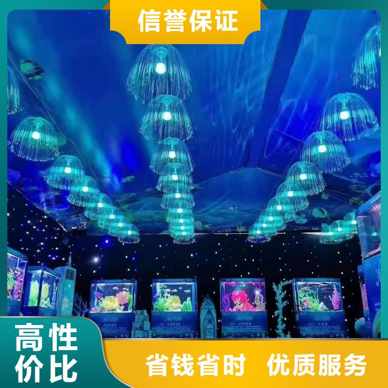 海洋主题动物表演 马戏团表演诚信