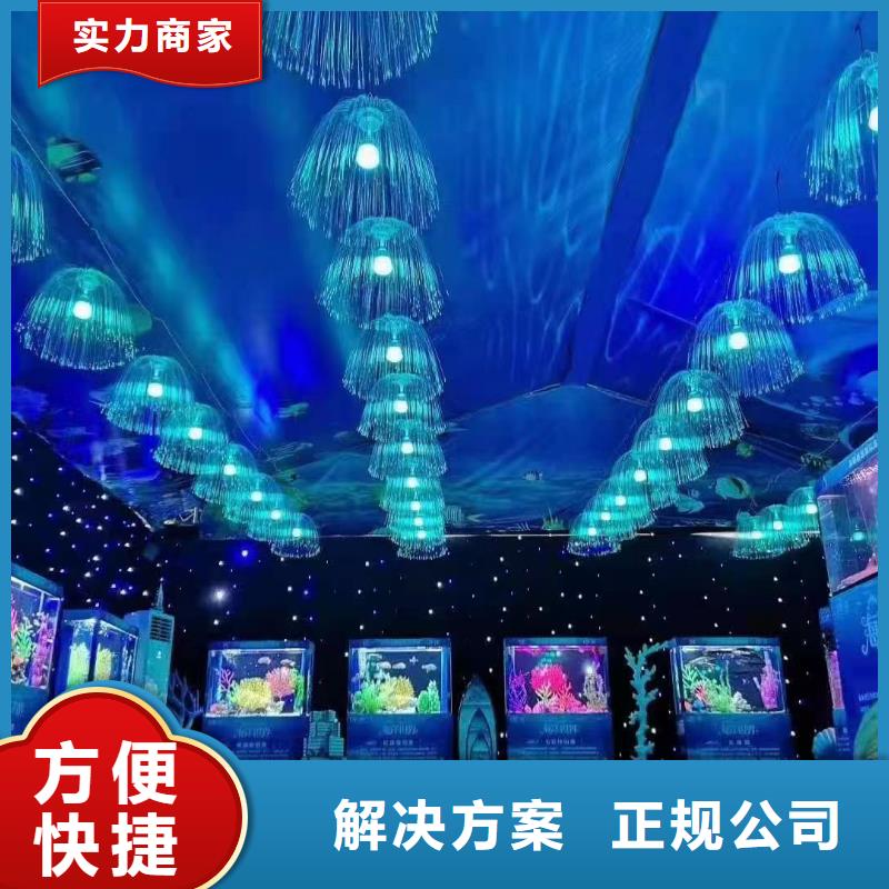 海洋主题动物表演【企鹅表演出租】经验丰富