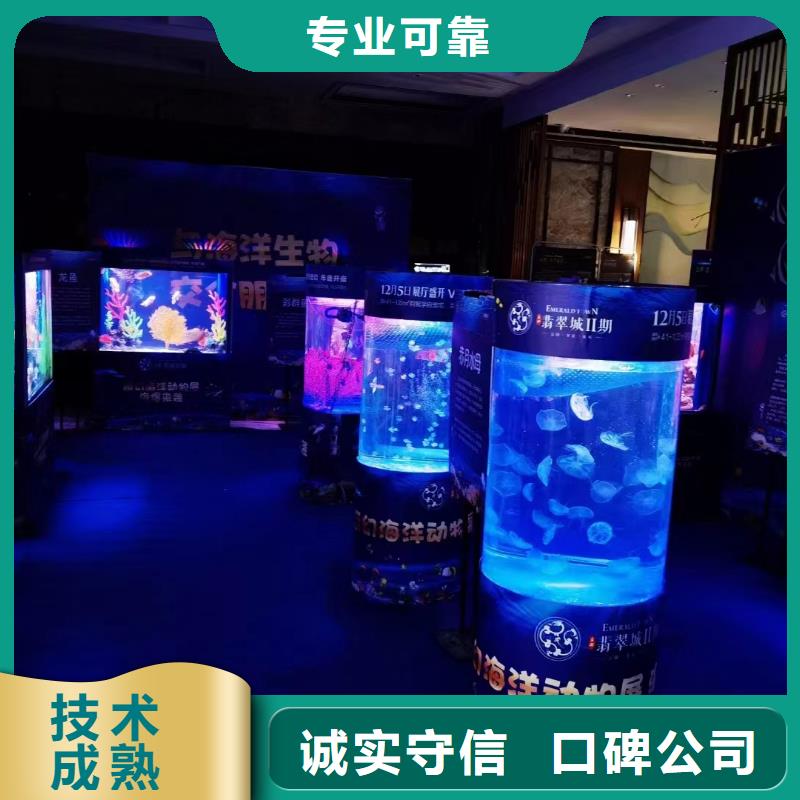 海洋主题动物表演杂技表演租赁服务有实力