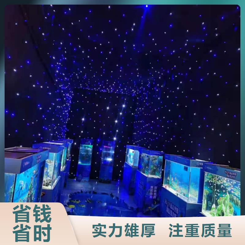海洋主题动物表演_杂技表演信誉保证