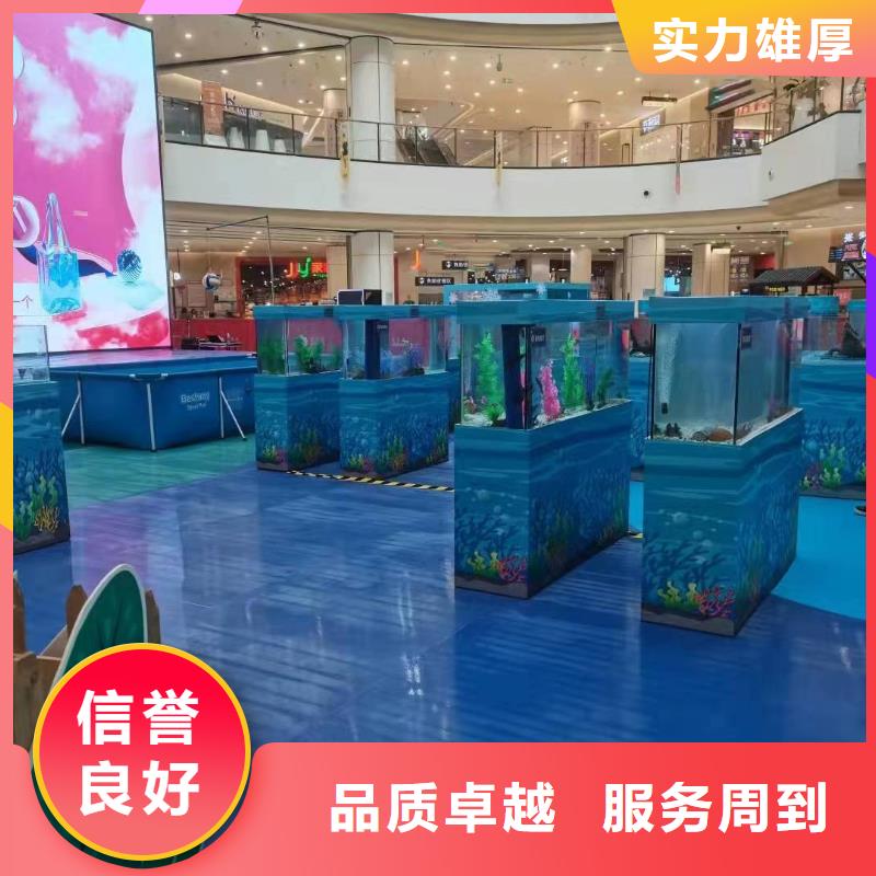 海洋主题动物表演羊驼表演方便快捷
