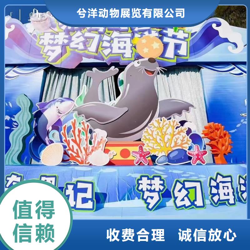 海洋主题动物表演【杂技表演租赁服务】价格美丽