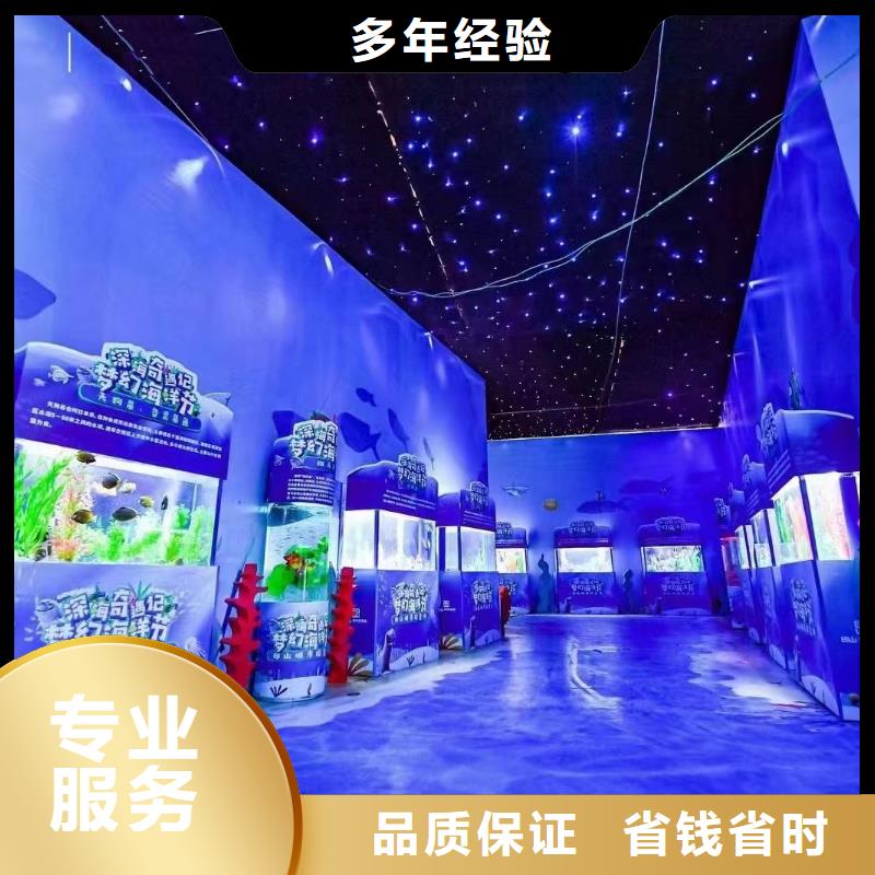 海洋主题动物表演 出租羊驼解决方案