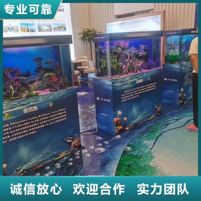 海洋主题动物表演海狮表演出租良好口碑