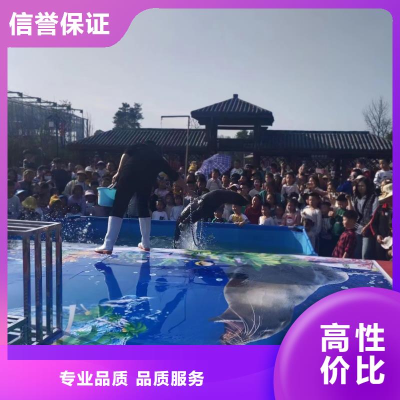 海洋主题动物表演 小马戏出租价格低于同行