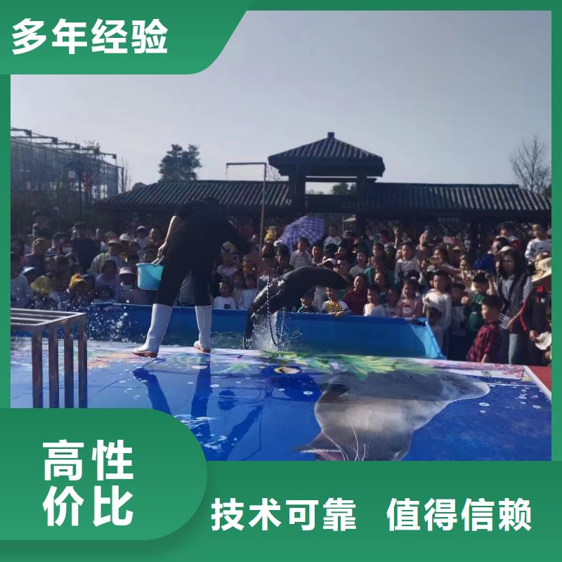 海洋主题动物表演_海狮表演出租资质齐全