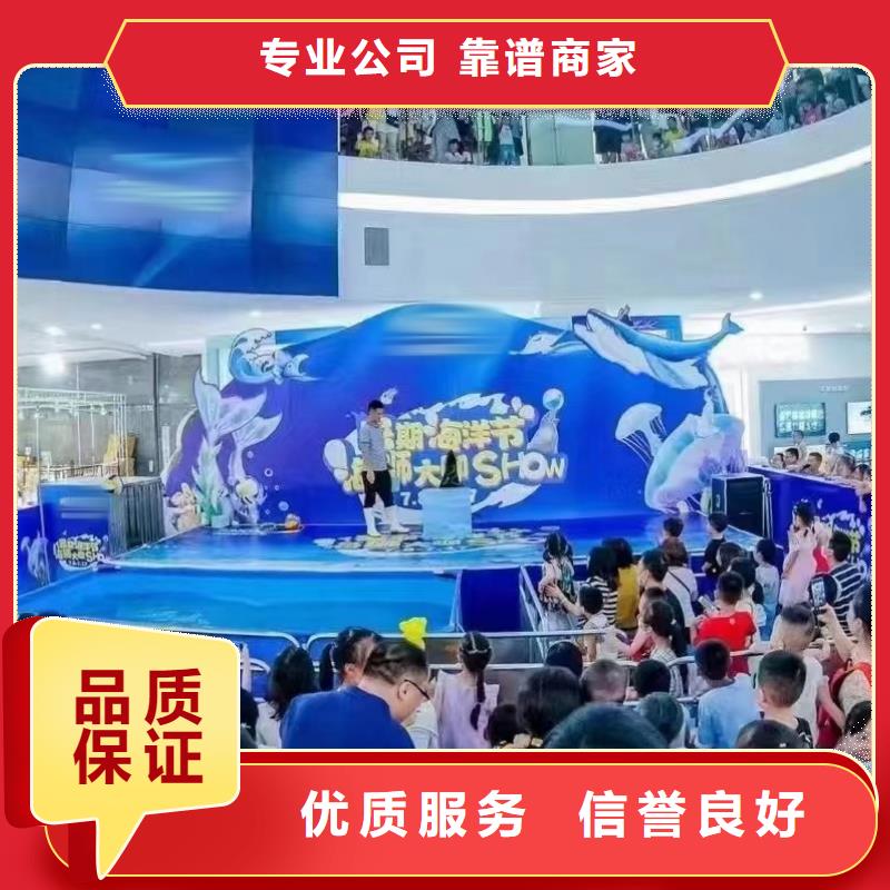 海洋主题动物表演 景区杂技表演省钱省时