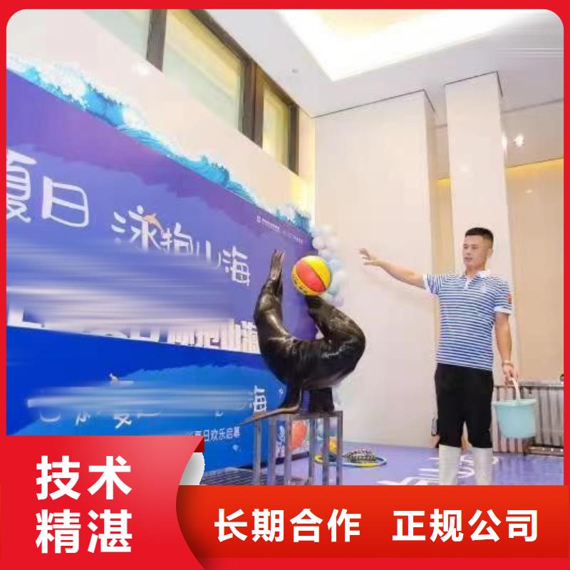 海洋主题动物表演鹦鹉表演品质服务