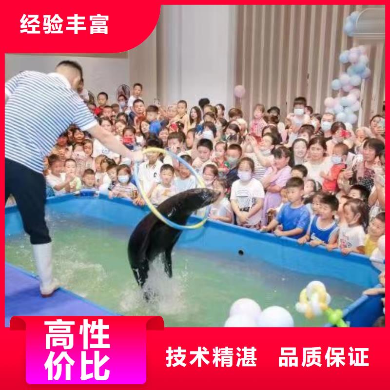 海洋主题动物表演美人鱼表演出租承接