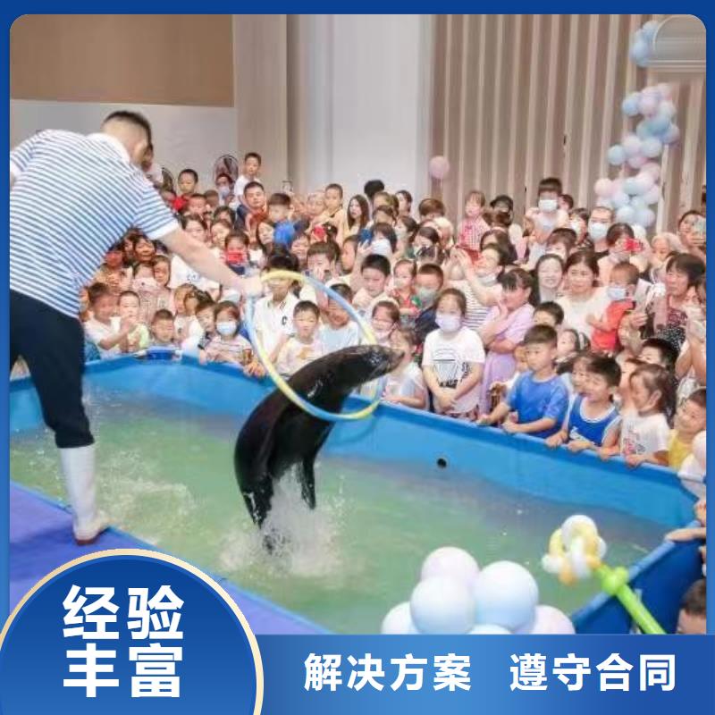 海洋主题动物表演出租羊驼承接