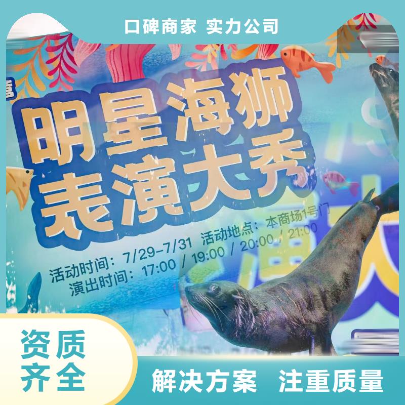 海洋主题动物表演_鹦鹉表演讲究信誉