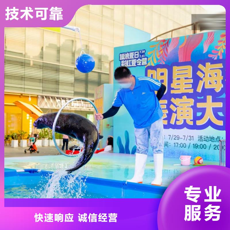 海洋主题动物表演,鹦鹉表演诚实守信