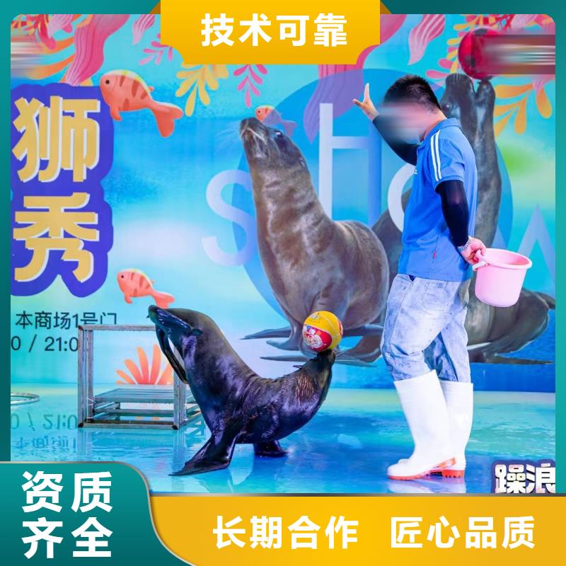 海洋主题动物表演杂技表演租赁服务专业承接