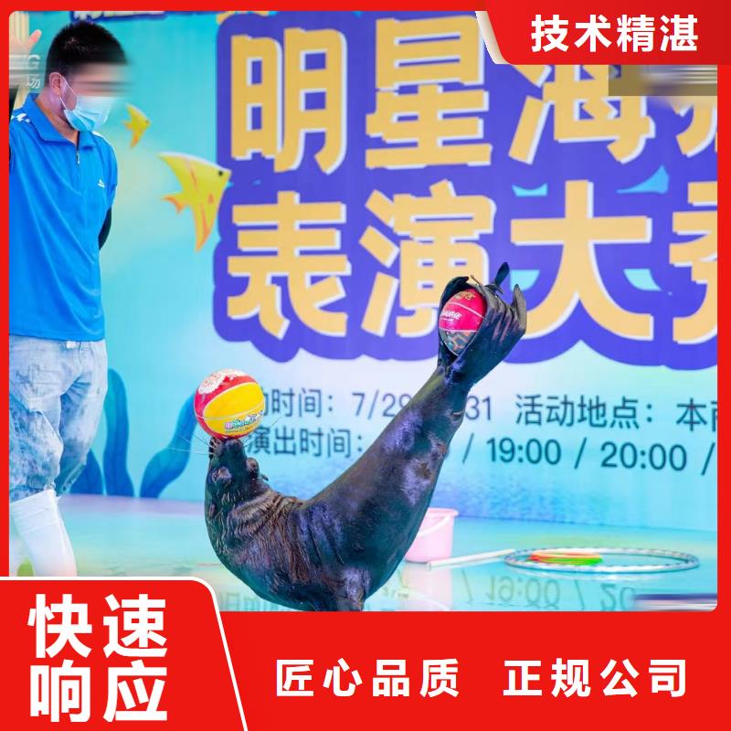 海洋主题动物表演【出租企鹅表演】齐全