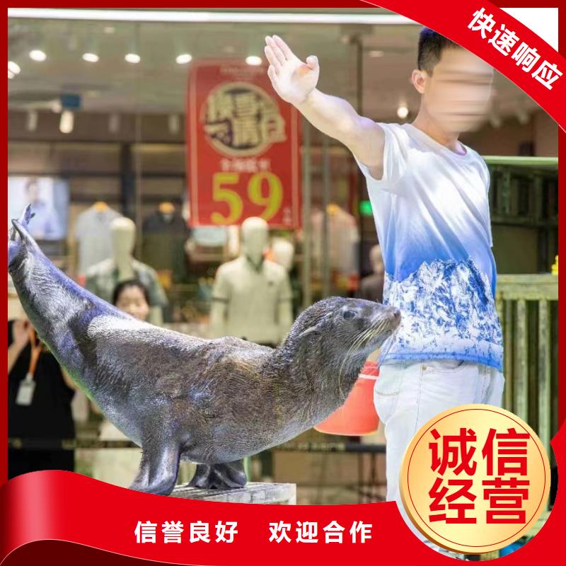 海洋主题动物表演,【海狮表演出租】价格美丽